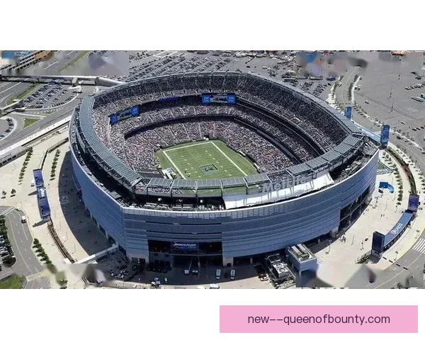 2026世界杯决赛场地纽约新泽西体育场草坪改造以符合FIFA标准